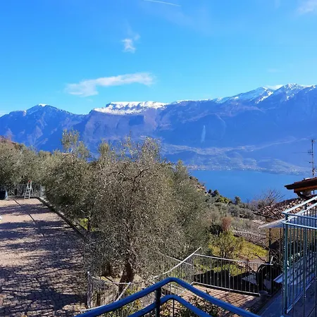Apartman Ulivi Sul Garda Garden By Gardadomusmea Tremosine