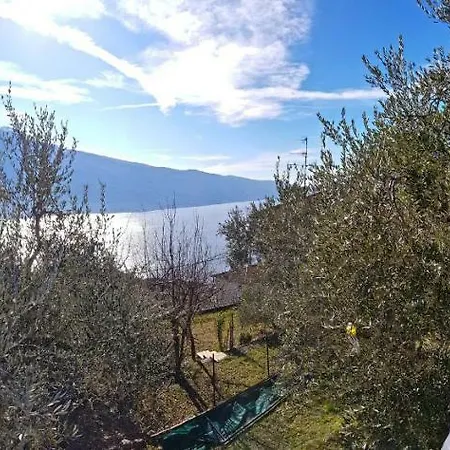 Ulivi Sul Garda Garden By Gardadomusmea Apartman Tremosine